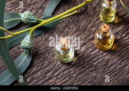 Bouteilles d'huile essentielle avec des rameaux d'eucalyptus Banque D'Images