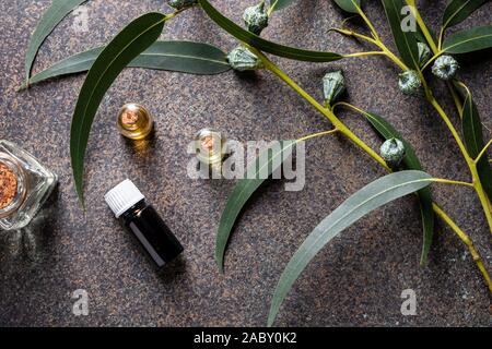 Bouteilles d'huile essentielle avec fraîcheur d'eucalyptus des brindilles, vue d'en haut Banque D'Images