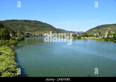 Terrasse vignoble paysage près d'Alf en vallée de la moselle Banque D'Images
