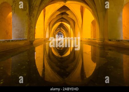 Les bains à l'Alcazar de Séville, l'Alcazar Royal de Séville est un palais royal à Séville Andalousie Espagne Banque D'Images