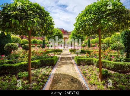 Jardins de La Casa de Pilatos ou Pilate maison construite au 16ème siècle à Séville, Espagne Banque D'Images