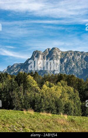 Mont Cornon (2189 m), pic des Alpes italiennes, Val di Fiemme et Val di Stava, Cavalese, Trentin-Haut-Adige, Italie, Europe Banque D'Images