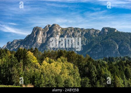 Mont Cornon (2189 m), pic des Alpes italiennes, Val di Fiemme et Val di Stava, Cavalese, Trentin-Haut-Adige, Italie, Europe Banque D'Images