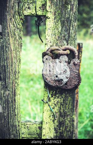 Deux vieilles et rouillées des cadenas sur une porte en bois patiné et usé. Banque D'Images