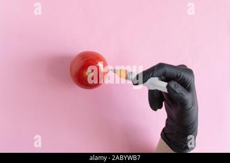 Traitement chimique des légumes, les engrais et les OGM. Main de personne injecte des produits chimiques dans la tomate, OGM, engrais et produits chimiques à l'aide d'une seringue à Banque D'Images