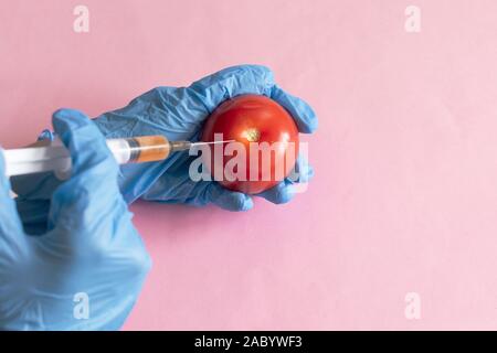 Traitement chimique des légumes, les engrais et les OGM. Main de personne injecte des produits chimiques dans la tomate, OGM, engrais et produits chimiques à l'aide d'une seringue à Banque D'Images