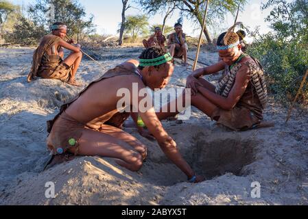 Les Bushmen San pour la recherche des scorpions, Kalahari, Botswana Banque D'Images