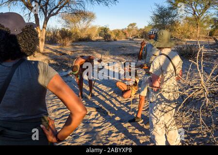 Promenade touristique avec les Bushmen San à un camp Kwena Meno, Kalahari, Botswana Banque D'Images