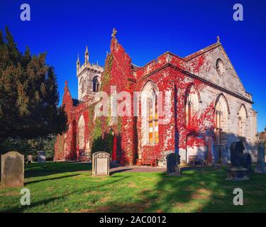 L'automne vigne sur le côté de Liberton Kirk, une église dynamique au sud d'Édimbourg Banque D'Images