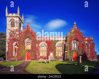 L'automne vigne sur le côté de Liberton Kirk, une église dynamique au sud d'Édimbourg Banque D'Images