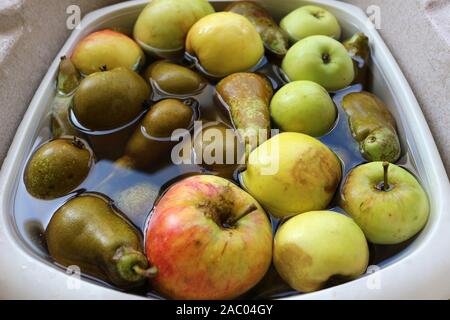 Fraîchement cueilli les pommes et les poires dans un bol d'eau Banque D'Images