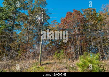 Une ligne électrique poteau en bois avec plusieurs câbles fixés le long de la route contre le ciel bleu avec les arbres aux couleurs automnales en arrière-plan sur un sunn Banque D'Images