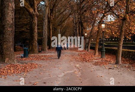 Koekelberg, Région de Bruxelles Capitale / Belgique - 10 30 2019 : Maghreb personnes marchant à travers le parc avec les feuilles d'automne Banque D'Images