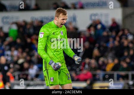 Swansea, Royaume-Uni. 29 Nov, 2019. Marek Rodak, le gardien de but de Fulham fête ses côtés deuxième but inscrit par Aleksandar Mitrovic de Fulham. Match de championnat Skybet EFL, Swansea City v Fulham au Liberty Stadium de Swansea, Pays de Galles du Sud Le vendredi 29 novembre 2019. Cette image ne peut être utilisé qu'à des fins rédactionnelles. Usage éditorial uniquement, licence requise pour un usage commercial. Aucune utilisation de pari, de jeux ou d'un seul club/ligue/dvd publications. pic de Lewis Mitchell/Andrew Orchard la photographie de sport/Alamy live news Crédit : Andrew Orchard la photographie de sport/Alamy Live News Banque D'Images