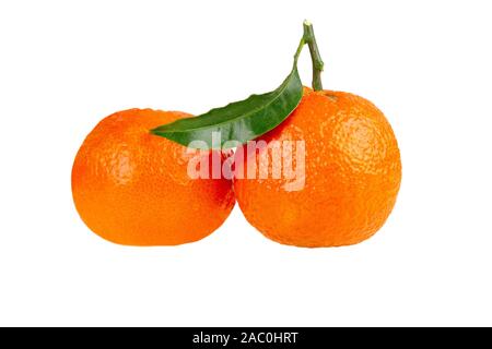 Deux mandarine mandarine fruit isolated on white Banque D'Images