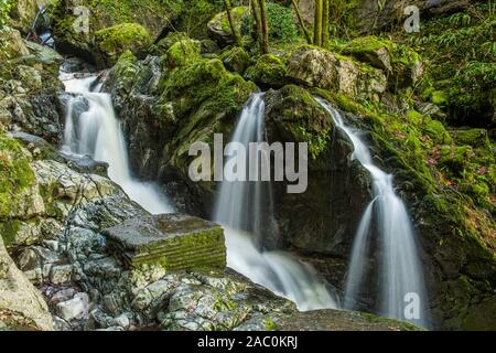 Le Sychryd Falls sur la rivière (Afon) Sychryd en haut de la vallée de Neath en cascade, pays Galles du sud Banque D'Images