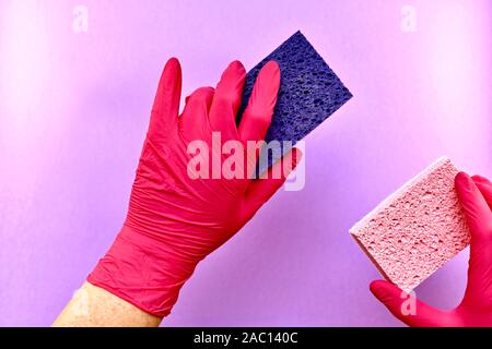 Les deux mains dans les gants en caoutchouc poreux cellulose délicatement tenir leur lave-éponges, rose et mauve. Banque D'Images