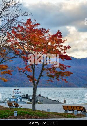 D'Aomori, Japon - Nov 5, 2019. Lac Towada à l'automne à Aomori, Japon. Lac Towada est l'un des plus célèbres points de couleur d'automne. Banque D'Images