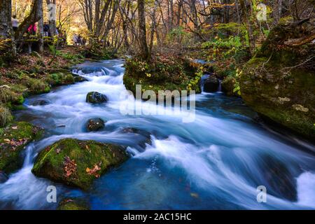 Oirase Stream en journée ensoleillée, belle scène dans des feuilles d'Automne Couleurs d'automne. Rivière aux rochers moussus, et cascade de Towada Kamaishi Par National Banque D'Images