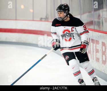 Columbus, Ohio, USA. 29 Nov, 2019. dans leur jeu à Columbus, Ohio. Brent Clark/CSM/Alamy Live News Banque D'Images