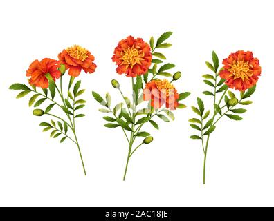 Souci Vector Illustration de Vecteur