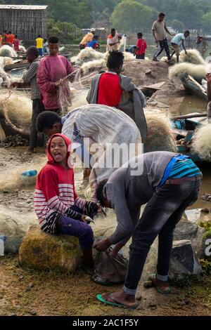 L'Éthiopie et de la vallée du Rift, marché aux poissons, Ville Hawassa, les pêcheurs et les enfants la préparation de filets Banque D'Images