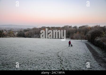 Meersbrook Park, Sheffield, Royaume-Uni. Le 30 novembre 2019. Un matin glacial à Sheffield. Photo : Alamy Live News Banque D'Images