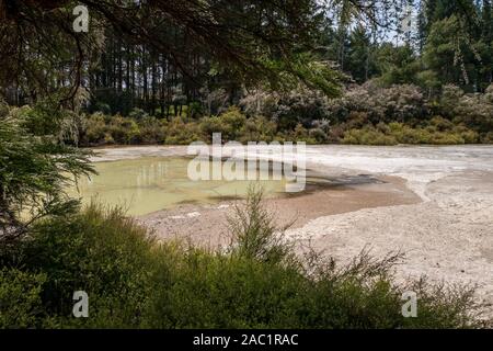 Parc géothermique de Wai-O-Tapu Thermal Wonderland, près de Rotorua, Île du Sud, Nouvelle-Zélande, Aotearoa Banque D'Images