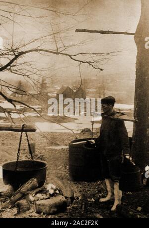 CANADA - 1930 Historique Une photographie montrant un homme recueillir la sève d'érable pour faire le sucre d'érable et d'érable. Banque D'Images