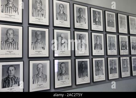 Oswiecim, Pologne. 30Th Nov, 2019. Photographies d'prisonerss à l'intérieur du musée d'Auschwitz I camp.Dans deux mois, le 75e anniversaire de la libération d'Auschwitz. La plus grande concentration et d'extermination nazi d'Auschwitz-Birkenau KL camp a été libéré par l'Armée rouge le 27 janvier 1945. Credit : Damian Klamka/ZUMA/Alamy Fil Live News Banque D'Images