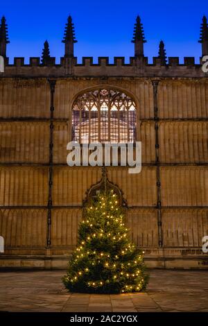 Arbre de Noël dans le quadrilatère d'écoles dans la soirée. Bodleian Library, Oxford, Oxfordshire, Angleterre Banque D'Images