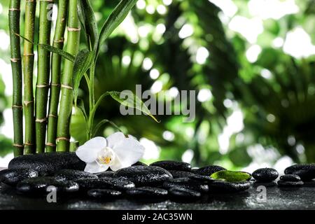 Grean feuilles de bambou et orchidée fleur blanc sur noir pierres zen sur fond feuilles tropicales Banque D'Images