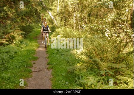 Les jeunes de la bicyclette, VTT en forêt, région de Kaliningrad, Russie, le 31 août 2019 Banque D'Images