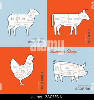 Définir un schéma d'animaux pour la boucherie. Illustration de Vecteur