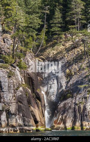 Une chute dans la région côtière de la Colombie-Britannique tombe d'une fente dans une falaise, avec des forêts au-dessus et la lumière du soleil et ombres sur le mur de pierre (vertical). Banque D'Images