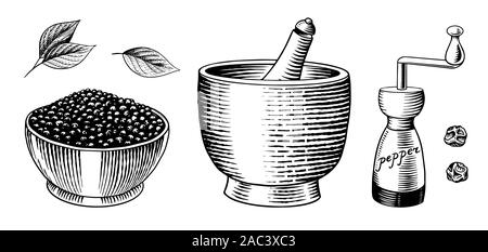 Poivre noir situé dans un style vintage. Mortier et pilon, piment ou poivre de moulin, et les graines. Gravé à la main pour des croquis vecteur Illustration de Vecteur