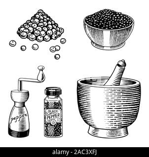 Poivre noir situé dans un style vintage. Mortier et pilon, piment ou poivre de moulin, et les graines. Gravé à la main pour des croquis vecteur Illustration de Vecteur