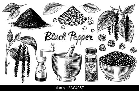 Poivre noir situé dans un style vintage. Mortier et pilon, piment ou poivre de moulin, et les graines, une bande d'épices. Assaisonnement d'herbes pour la cuisine Illustration de Vecteur