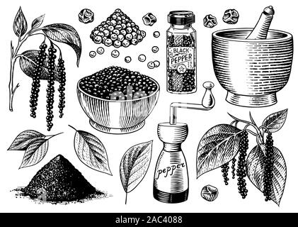 Poivre noir situé dans un style vintage. Mortier et pilon, piment ou poivre de moulin, et les graines, une bande d'épices. Assaisonnement d'herbes pour la cuisine Illustration de Vecteur