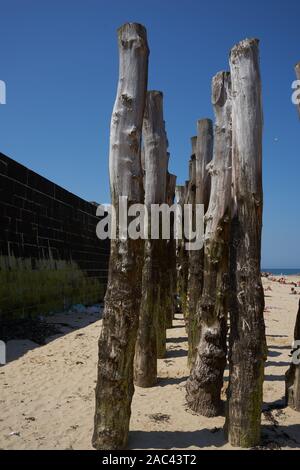 18-07-23 Saint Malo, France - piquets en bois poignardé sur une plage de la ville fermer le mur Banque D'Images