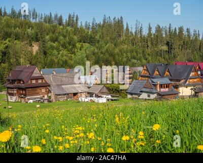 Montagnes Tatras, Pologne - 4 juin 2019 : pré dans un petit village de Pologne dans les Tatras et cabanes de highlander en bois Banque D'Images