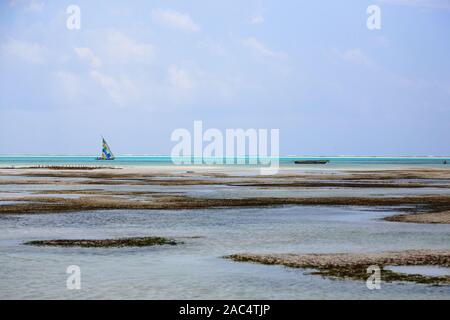 Plage de Zanzibar, Tanzanie, Afrique paysage panorama. Paysages de l'océan Indien Banque D'Images