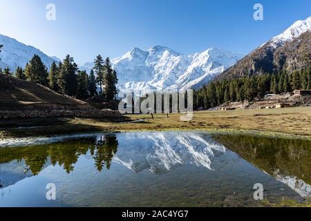 Fairy Meadows, au Pakistan Banque D'Images