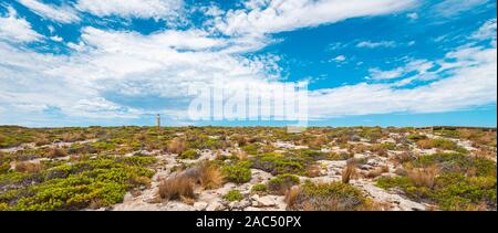 Cap du Couedic lighthouse sur la ligne d'horizon de l'île kangourou en Australie Banque D'Images