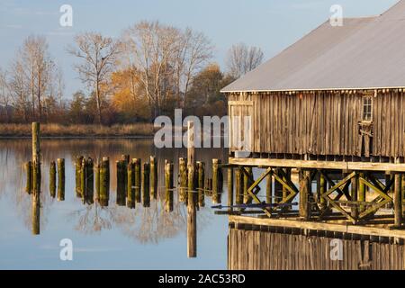 Matin, le long du fleuve Fraser au site historique des chantiers navals, à Richmond (Colombie-Britannique) Banque D'Images