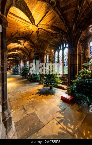 Cloîtres et arbres de Noël. La cathédrale de Chester, Chester à Noël. UK Banque D'Images