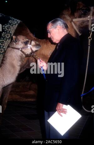 Los Angeles, Californie, USA 20 mars 1995 l'acteur Martin Landau assiste à la TNT 'Joseph' le 20 mars 1995 à Laemmle Sunset 5 Theatre de Los Angeles, Californie, USA. Photo de Barry King/Alamy Stock Photo Banque D'Images