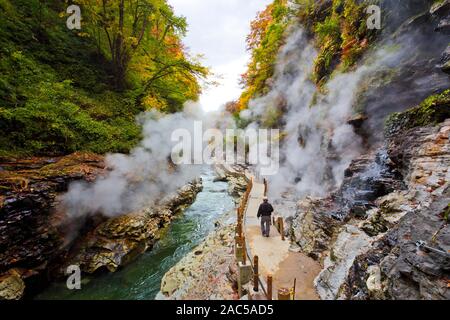 Oyasukyo Gorge, dans la préfecture d'Akita, Tohoku, Japon. Banque D'Images