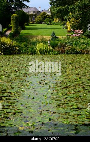 Altamont Gardens, Chambre,Corona au nord, lac, étang, eau, Carlow, jardin, garden trail, Carlow, sentier jardin floral RM Banque D'Images