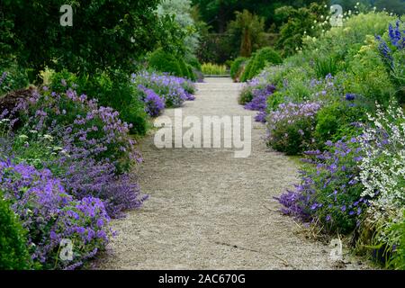 Altamont Gardens, de Corona au nord de la frontière commémorative,plantes,frontière frontière frontières,double,géranium,nepetia,de,mixte,chambres,fleurs,fleurs,fleurs,RM Banque D'Images